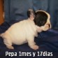 PARA COMERSELA